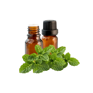 Aceite de menta de bergamota orgánica pura 100%, aceites esenciales multiusos de alta calidad fabricados en la India, árbol de té, menta orgánica - Product Image 3