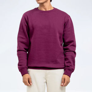 Sudaderas de Invierno Personalizadas para Hombre, Doble Capa, Felpa Gruesa, 100% Algodón, Ecológicas, Impresión Puff, Logotipo Personalizado OEM - Product Image 1