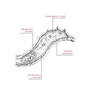 TruBalance 30ml All <b>Skin</b> Types <b>Toner</b> with Witch Hazel Aloe Vera Green Tea Extract Hyaluronic Acid Antioxidant Vegan Formula - Product Image 2