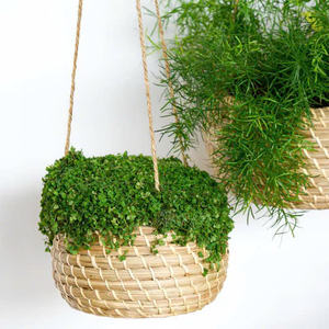 Jardinière murale compacte, pratique et best-seller en carex - Product Image 2