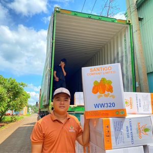 ถั่วเม็ดมะม่วงหิมพานต์บรรจุ W180 20กก. เวียดนามนัมแซนติโก Ltd - Product Image 5