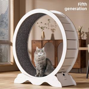 Pami Nouveau tapis roulant pour chat intelligent à affichage numérique ABS, roue silencieuse de grand diamètre pour le fitness des animaux de compagnie en intérieur - Product Image 5