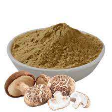 Meilleur vendeur shiitake séché poudre extrait organique champignon 30% polysaccharide 40g couleur blanc 100% pur exportateur en vrac - Product Image 2