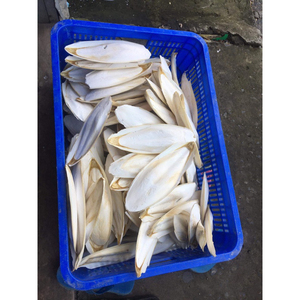 Os de seiche séché de haute qualité alimentation pour animaux nourriture pour oiseaux nourriture pour animaux de compagnie sac disponible prix du Carton competitif-Vdelta/Ms. Thao + 84 - Product Image 2