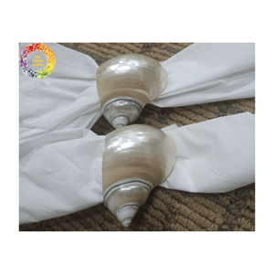 Coquilles de turquoise verte du Vietnam artisanat décor de Noël écologique recueilli et nettoyé pour l'approvisionnement en vrac et la vente au détail - Product Image 2