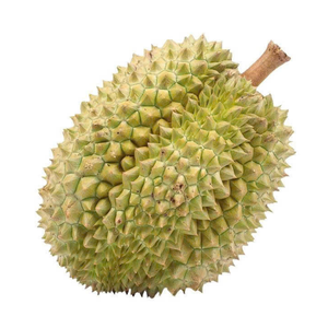 Durian congelé Pulpe de viande de Durian congelée du Vietnam morceaux de Durian IQF transformés pour les smoothies Dessert Marché d'exportation Approvisionnement - Product Image 2