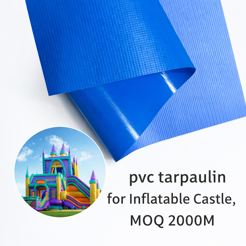 Factory Price Customizable Anti Mold 1000D