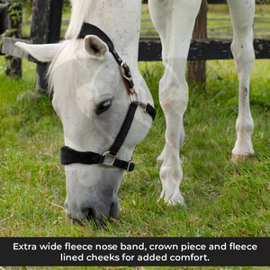 2026 Dernier modèle de licol pour cheval en cuir de qualité supérieure et durable, personnalisable avec plaque nominative, fait main, avec muserolle rembourrée souple et couronne - Product Image 5