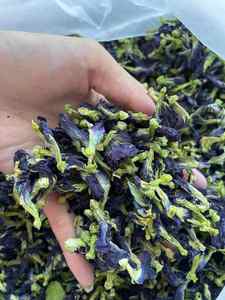 ชาถั่วลันเตาสด100%: เครื่องดื่มสีฟ้าสดใสอัดแน่นไปด้วยสารต้านอนุมูลอิสระช่วยเพิ่มผิวเปล่งประกายผมและบรรเทาความเครียดอย่างเป็นธรรมชาติ - Product Image 4