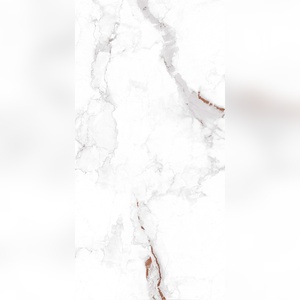 Cerámica Vitrificada con Brillo Intenso de 600x1200 mm, Resistente en Gimnasios, Spas y Zonas de Estilo de Vida Activo - Product Image 5