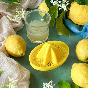 Spremiagrumi Manuale Portatile Mini - Pressa per Limoni in Plastica da Tavolo - Product Image 2