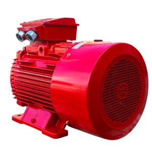 Moteur électrique AC d'usine du Vietnam 50Hz 60Hz moteur asynchrone triphasé boîtier en fonte enroulement de noyau de cuivre en gros - Product Image 2
