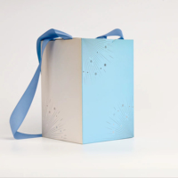 Bolsas de Regalo de Papel Pequeñas con Asas, Personalizadas, de Lujo, Coloridas, con Logotipo Impreso y Cinta