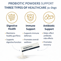 Poudre Probiotique Bio OEM pour Animaux de Compagnie – Soutien Digestif et Santé Intestinale pour Chiens et Chats – Complément en Friandises Tendres – Vente en Gros