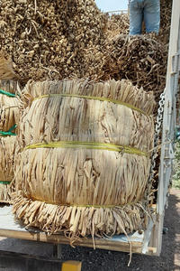 Produit agricole de première qualité en fibre de jacinthe d'eau séchée naturelle au meilleur prix du Vietnam pour l'exportation de haute qualité de la vente en gros - Product Image 3