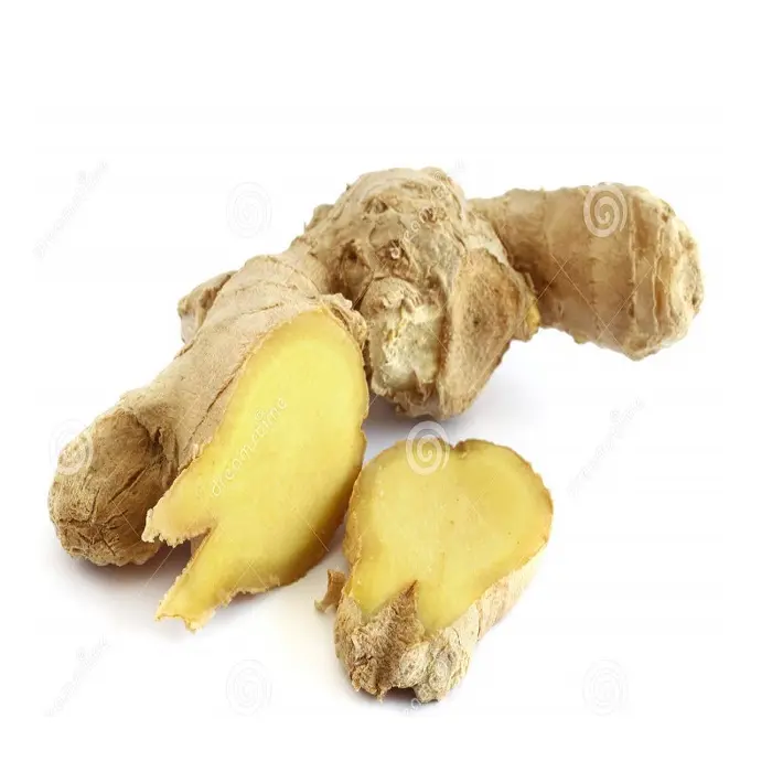 Großhandel Ingwer Export New Crop Fresh Ginger Bester Preis Thailand Ingwer mit guter Qualität