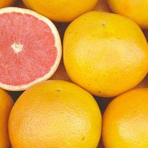 Pamplemousses frais Direct Orchard Supply Pamplemousses frais avec riche jus acidulé doux pour les commandes en gros dans le monde entier - Product Image 1