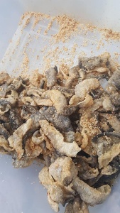 Chất lượng hàng đầu hải sản cá hồi da giòn/OEM số lượng lớn khô cá hồi da cá/<span class=keywords><strong>MS</strong></span> JESSI - Product Image 4