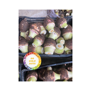 Ietnam เผือกแช่แข็งแบบพร้อมปรุงผักรากพร้อมรสชาติเข้มข้นสำหรับอาหารเอเชียอาหารว่างประจำวันและการปรุงอาหารอย่างรวดเร็ว - Product Image 5