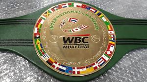 Cinturones de campeonato de boxeo Trofeos Medallas y premios el símbolo definitivo de la victoria y la excelencia Cinturones de Campeonato - Product Image 5