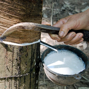 CAOUTCHOUC NATUREL RICHE EN LATEX/HAUTEMENT ADAPTABLE/MATÉRIEL PREMIUM/FABRIQUÉ au VIETNAM - Product Image 3