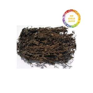 Feuilles de gelée d'herbe noire en vrac de qualité supérieure pour l'exportation, approvisionnement direct du Vietnam, grandes commandes, feuilles fraîches de haute qualité prêtes à être expédiées - Product Image 5