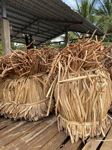 Jacinto de agua cruda natural y sostenible para manualidades y decoración: Jacinto crudo natural listo para exportar desde Vietnam con la mejor oferta - Product Image 2