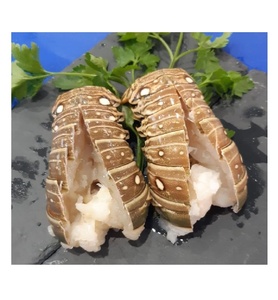 Langostas del Caribe Congeladas al por Mayor para Restaurantes, Hoteles y Servicios de Catering, Productos de Mariscos Premium - Product Image 1