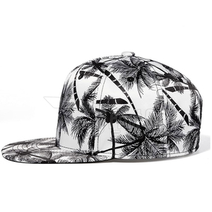 หมวกเบสบอลผ้าฝ้าย5แผง100เปอร์เซ็นต์, น้ำหนักเบาสำหรับผู้ชายหมวกกลางแจ้งแบบลำลองสำหรับฟิตเนส - Product Image 4