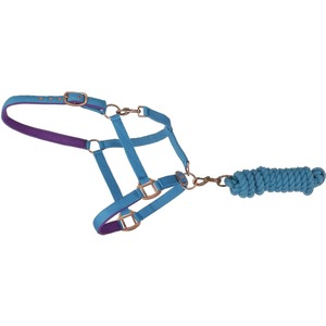 Licol pour chevaux réglable, en nylon résistant, rembourrage en néoprène anti-frottement, couronne et nez entièrement rembourrés, pour tous les chevaux de toutes tailles - Product Image 4