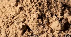 Polvo de musgo de mar Premium rico en minerales para la salud energética de la piel y el intestino - Product Image 6