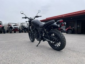 NOVITÀ: Moto da Strada <span class=keywords><strong>Honda</strong></span> SCL <span class=keywords><strong>500</strong></span> 2026 - PRONTA CONSEGNA! - Product Image 5