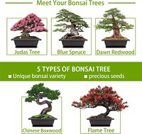 Kit d'arbre bonsaï avec outils complets de culture de plantes grandir en pot Kit de démarrage d'arbre bonsaï d'intérieur maison jardinage bricolage cadeau pour adulte