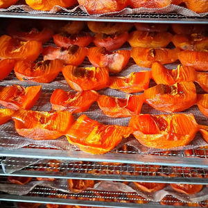 MEJOR VENTA PERSIMÓN SECO: FRUTAS SECAS PREMIUM CALIDAD EXPORTACIÓN Y VENTA AL POR MAYOR DE VIETNAM - Product Image 1