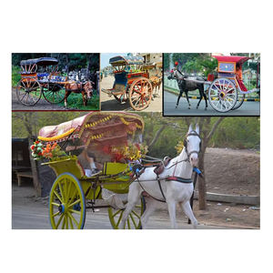 Fabricante de Tanguas de Caballos de Lahore, Carruajes Turísticos de Caballos, Carruajes de Caballos de Victoria en Sídney, Fabricantes de Carruajes de Caballos en Melbourne - Product Image 1