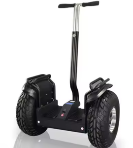 NUEVO FAV Eléctrico para Adultos, Eléctrico de 19 Pulgadas con Neumáticos Anchos, Todoterreno, Autoequilibrado - Product Image 1