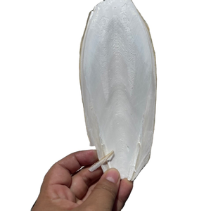 กระดูกปลาหมึกดิบคุณภาพดีที่สุดสำหรับนกเลี้ยงในกรง ขายส่งจำนวนมาก - Product Image 1