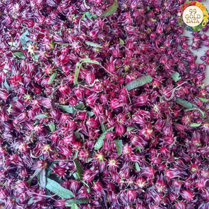 Bayas de Goji Elaboradas en Vietnam con Material de Fruta de Lycium Seca para Bebidas y Aplicaciones Culinarias - Product Image 4