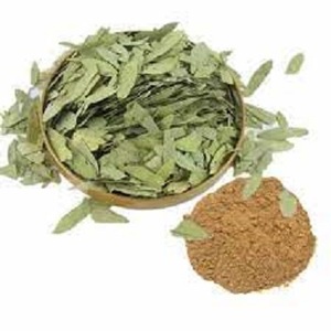 Wholesale Natural Senna <b>Leaf</b> Extract Sennosides 10% 20% Senna <b>Leaf</b> Extract Powder Senna Extract - Product Image 3