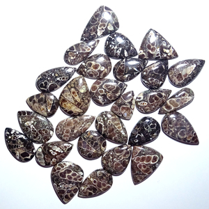 Piedra Preciosa de Jaspe Turritella de Rajasthan, Forma y Tamaño Personalizables, Suelta para Joyería, Sin Tratar - Product Image 1