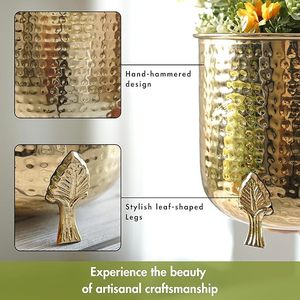 Maceta Perfection Macter puede transformar sus plantas, planta de amor, elevando su vegetación con macetas elegantes - Product Image 2