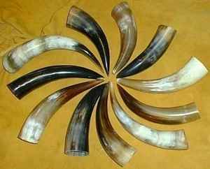 Corne de buffle de haute qualité Viking corne à boire sculptée à la main en verre naturel réglable Style animal Unique pour mariage religieux - Product Image 3