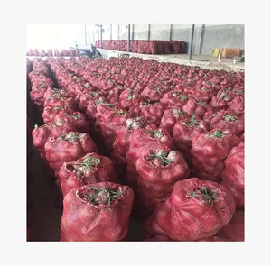 2024新作物Sinofarm品牌新鲜红洋葱新鲜有机红洋葱有机最低自然价格
