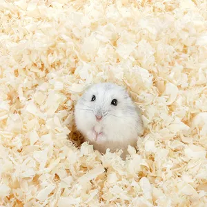 Natural Wood Shavings for Animal <b>Bedding</b> - Bulk Supply & Factory Price | Vietnam Export - Product Image 1