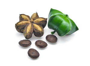 HUILE SACHI DE QUALITÉ SUPÉRIEURE AU MEILLEUR PRIX DU VIETNAM PRÊT À EXPORTER EN VRAC - Product Image 3