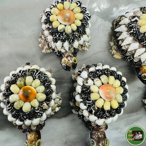 Décoration personnalisée en coquillages, utilisant des coquillages véritables pour l'artisanat décoratif et les souvenirs en provenance du Vietnam - Product Image 1