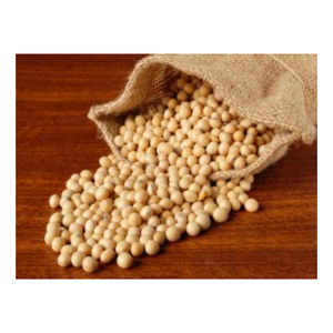 Vente en gros de soja jaune biologique de haute qualité sans OGM soja délicieux vente par fournisseur en gros - Product Image 5