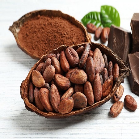 Cocoa Seeds Price: 2025 Market Trends & Suppliers