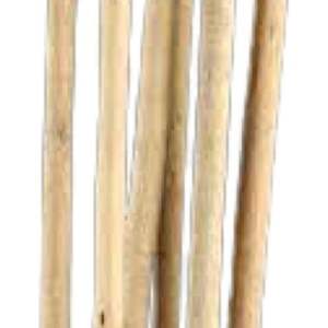 Arrangement de fleurs séchées biologiques de qualité supérieure en gros avec des bâtonnets en bois de bambou et de jute pour la remise des diplômes, Halloween, tailles assorties - Product Image 1