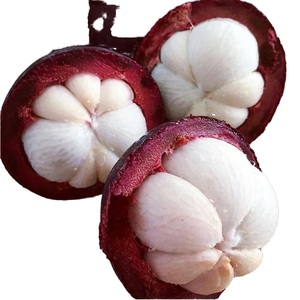 Mangoustan du Royaume-Uni avec certification d'exportation - Product Image 5